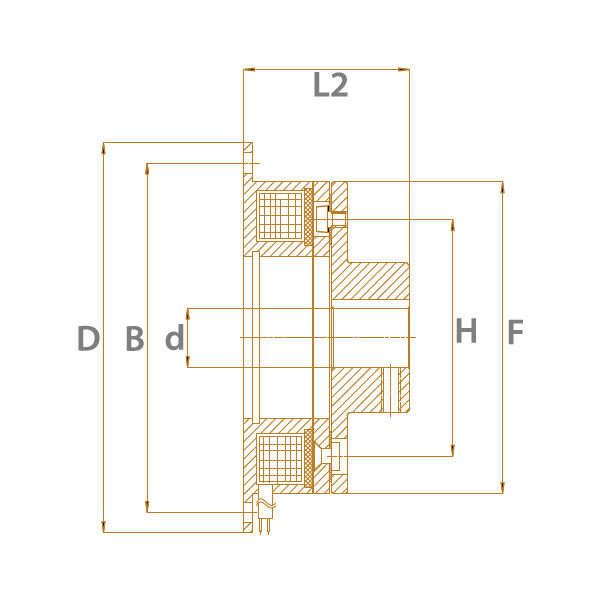 Model C cross section and sketch