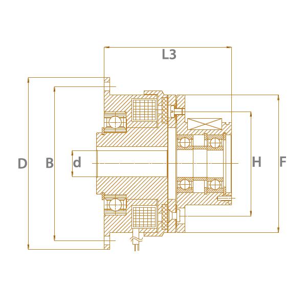 Model C cross section and sketch